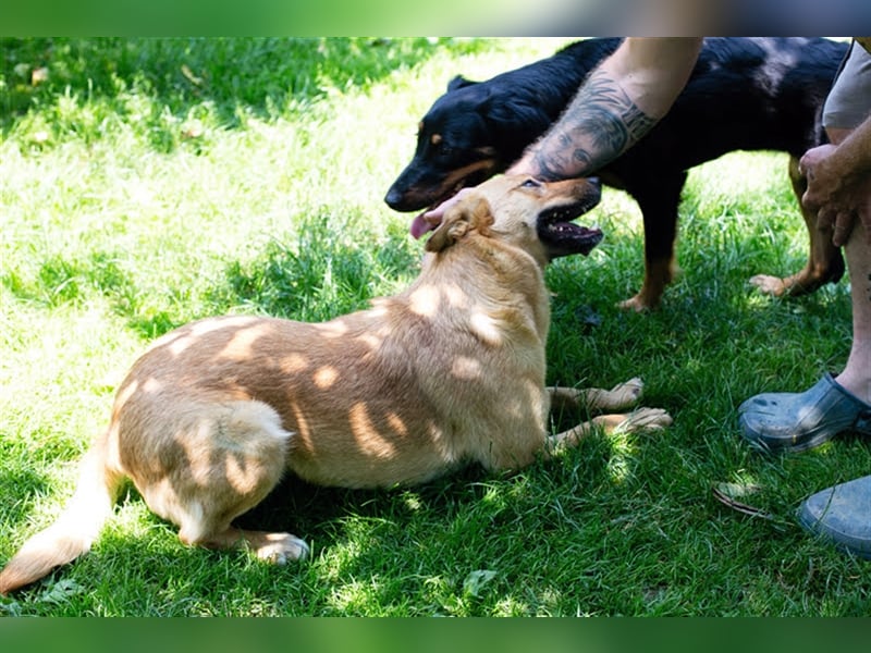 Butterfly – Bereit für die Metamorphose