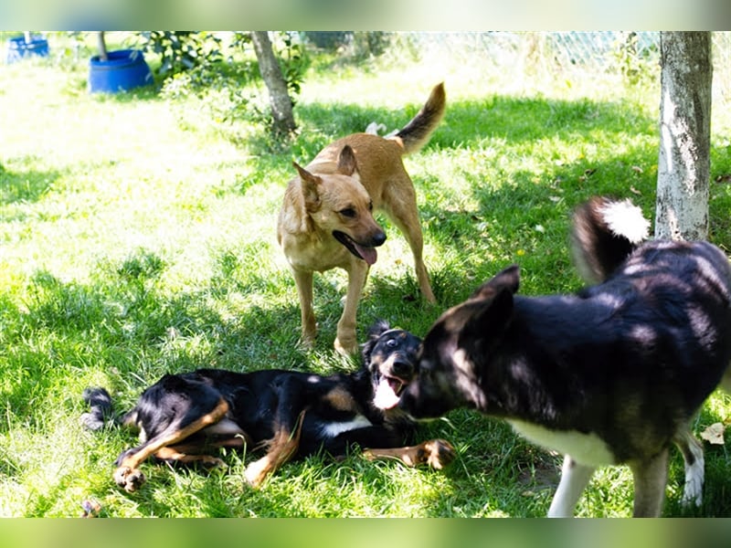 Butterfly – Bereit für die Metamorphose