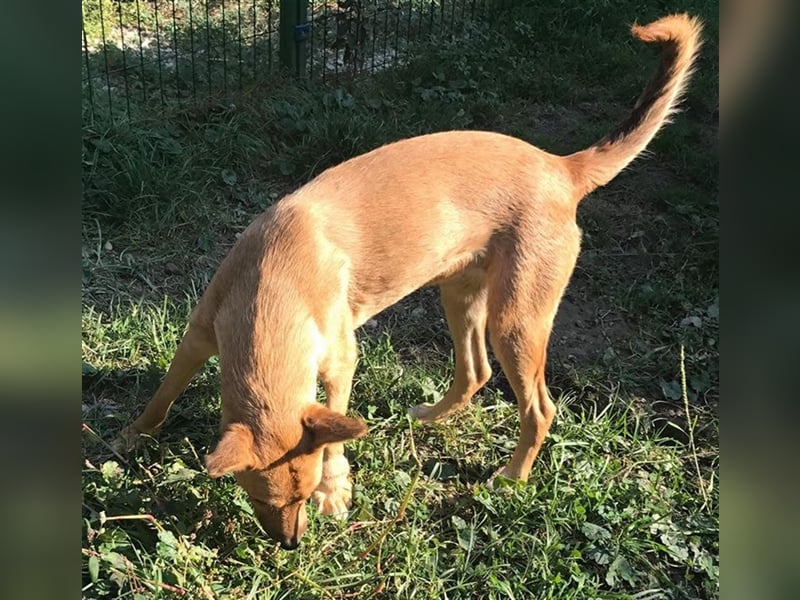 Butterfly – Bereit für die Metamorphose