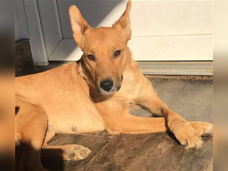 Butterfly – Bereit für die Metamorphose