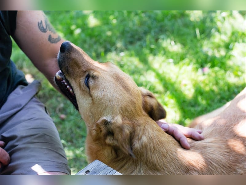 Butterfly – Bereit für die Metamorphose