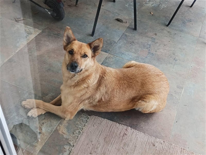 Butterfly – Bereit für die Metamorphose