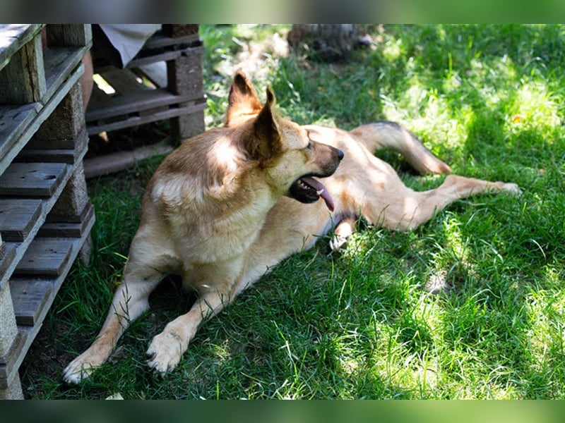Butterfly – Bereit für die Metamorphose