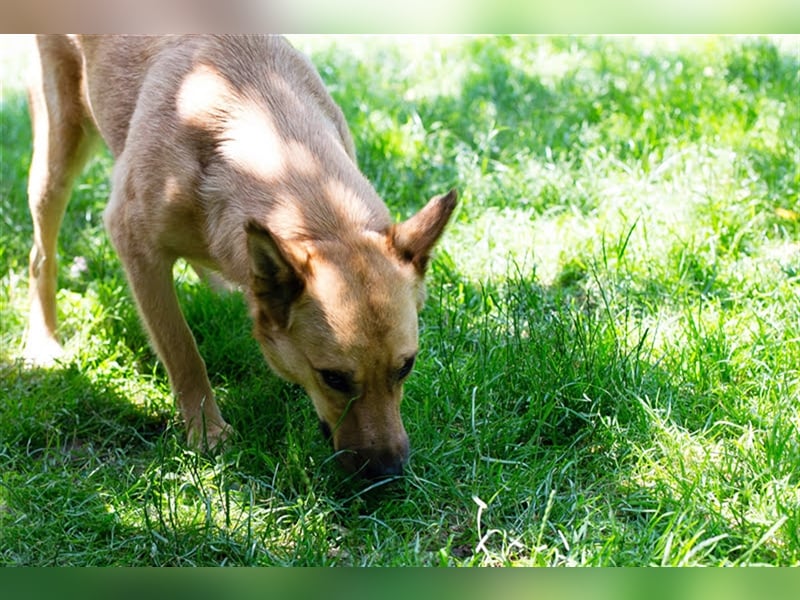 Butterfly – Bereit für die Metamorphose