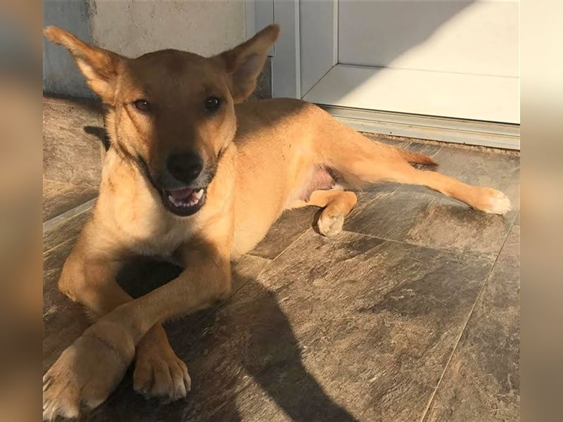 Butterfly – Bereit für die Metamorphose