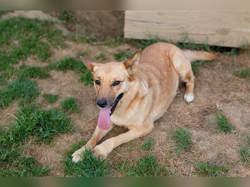 Butterfly – Bereit für die Metamorphose