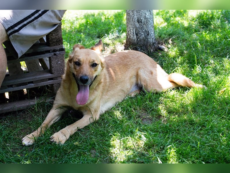 Butterfly – Bereit für die Metamorphose