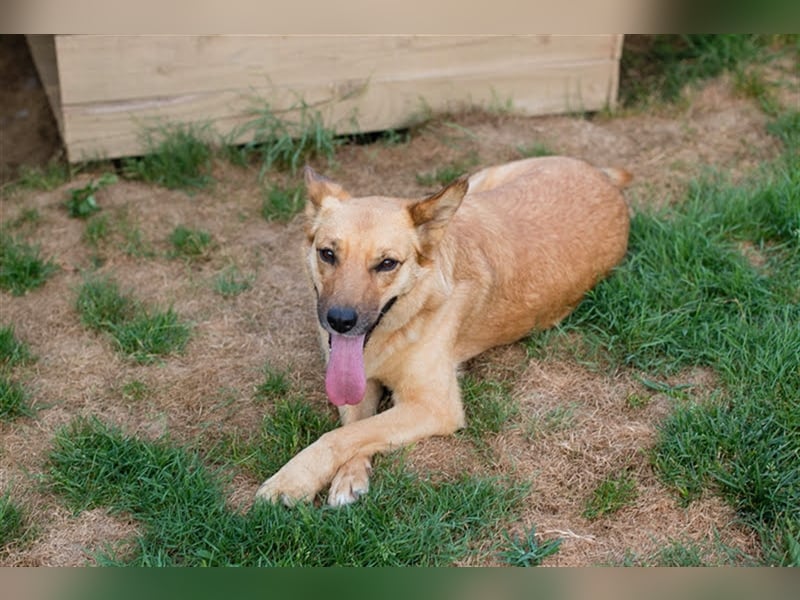 Butterfly – Bereit für die Metamorphose