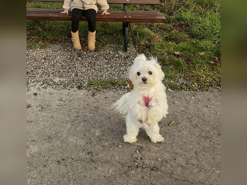 Amy sucht eine liebevolle Familie