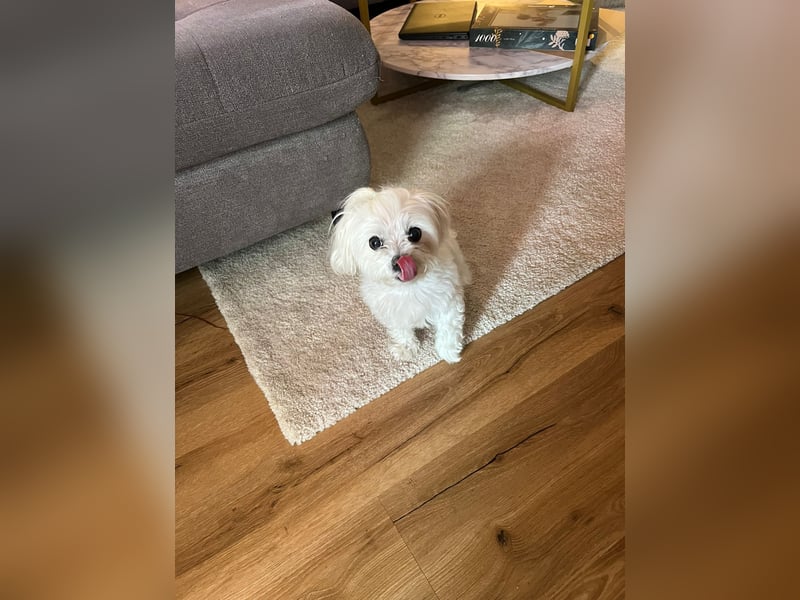 Amy sucht eine liebevolle Familie