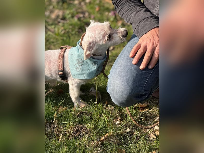 Bounty, Pflegestelle 48249 Dülmen