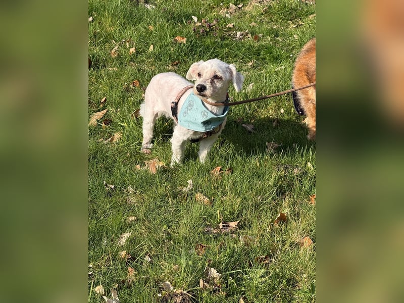 Bounty, Pflegestelle 48249 Dülmen