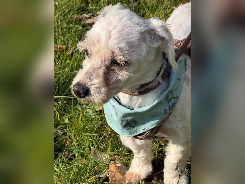 Bounty, Pflegestelle 48249 Dülmen