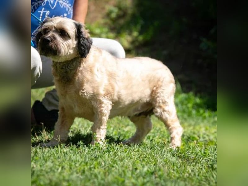 Baxter