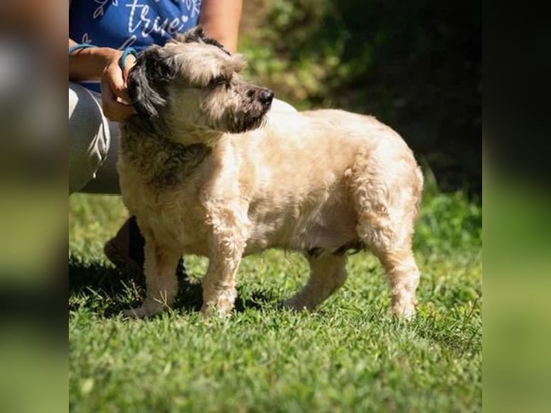 Baxter