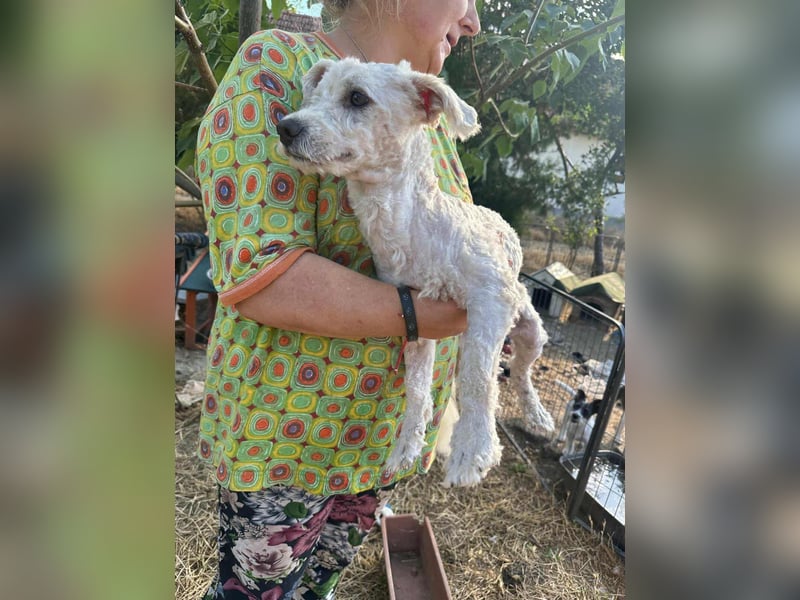 Kefir, geboren 20.04.2020, 29cm sucht sein Körbchen