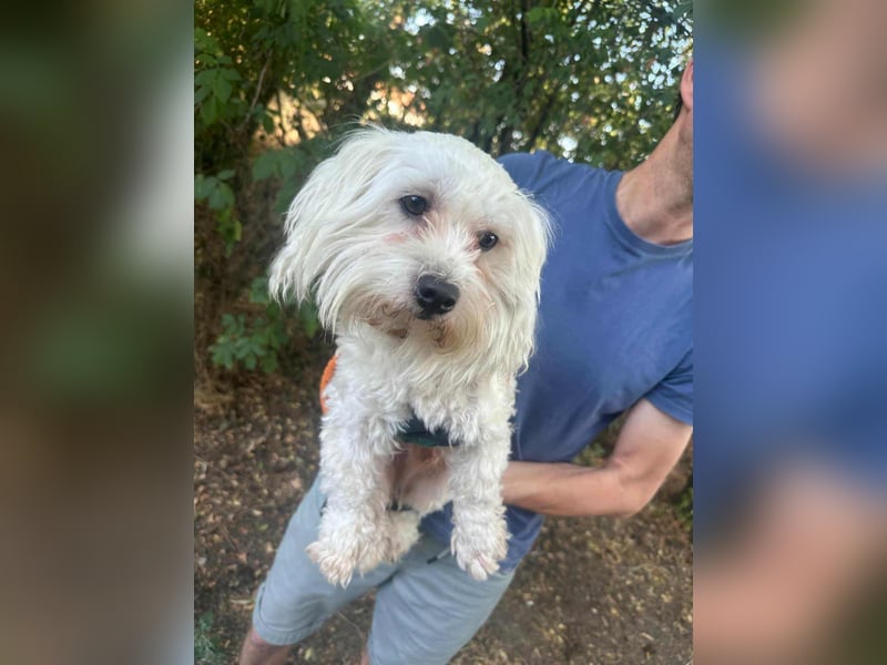 Casper, geboren 06.12.2023, 24cm sucht seine Menschen