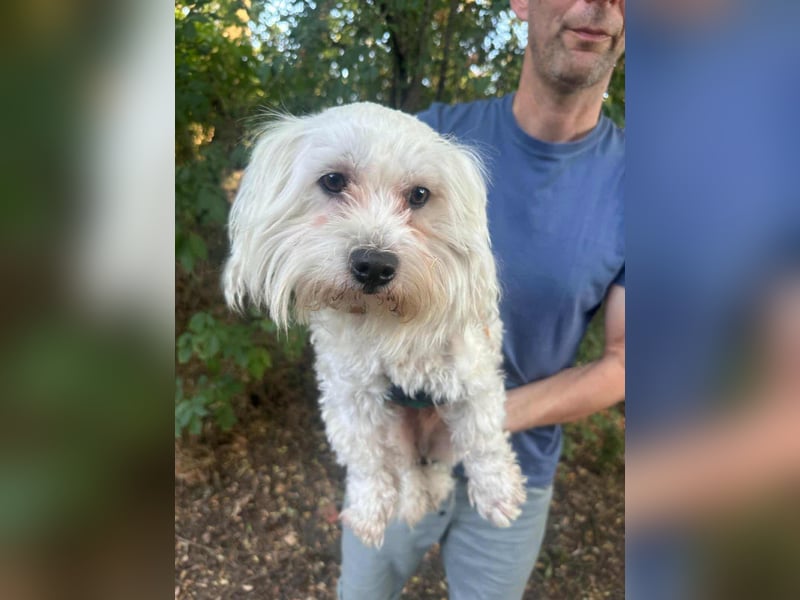 Casper, geboren 06.12.2023, 24cm sucht seine Menschen
