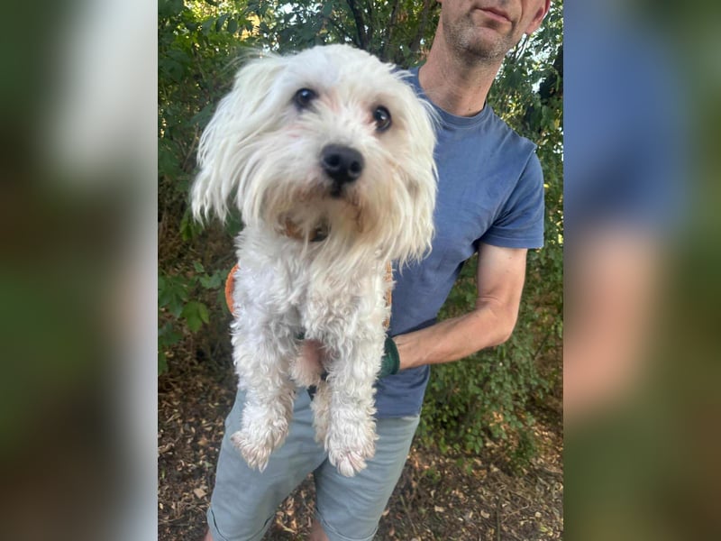 Casper, geboren 06.12.2023, 24cm sucht seine Menschen