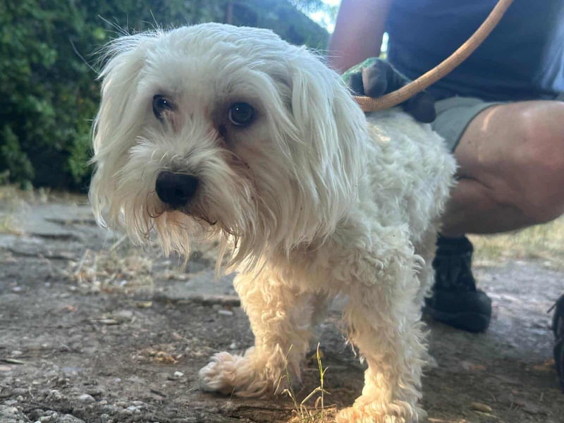 Casper, geboren 06.12.2023, 24cm sucht seine Menschen