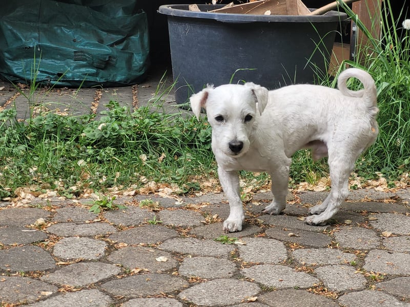 Charly freut sich auf Deinen Besuch