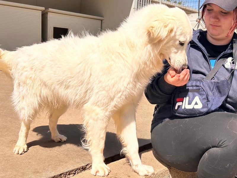 Romina - unser Sonnenschein sucht ein Zuhause