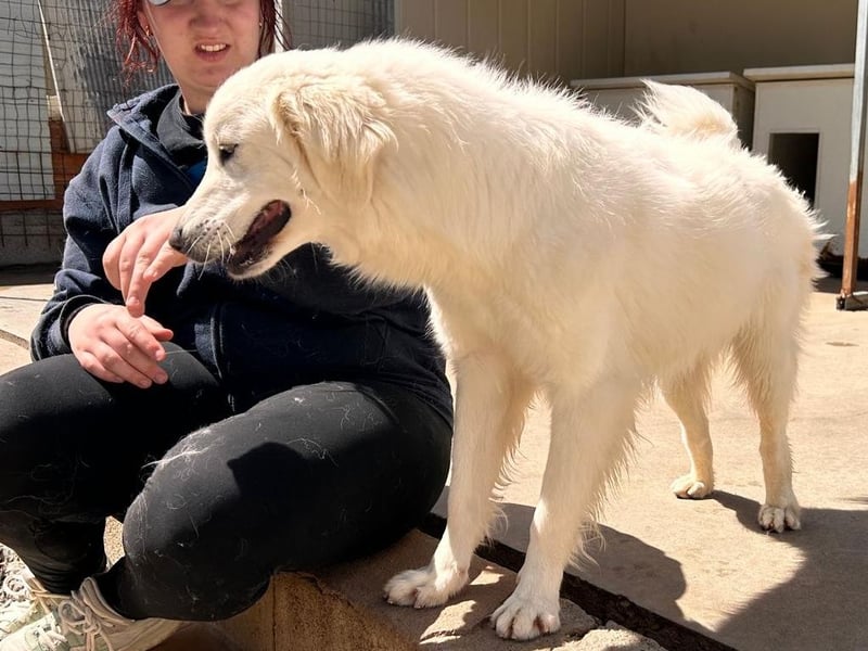 Romina - unser Sonnenschein sucht ein Zuhause