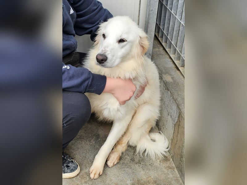 Romina - unser Sonnenschein sucht ein Zuhause