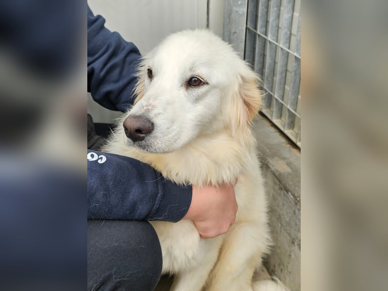 Romina - unser Sonnenschein sucht ein Zuhause