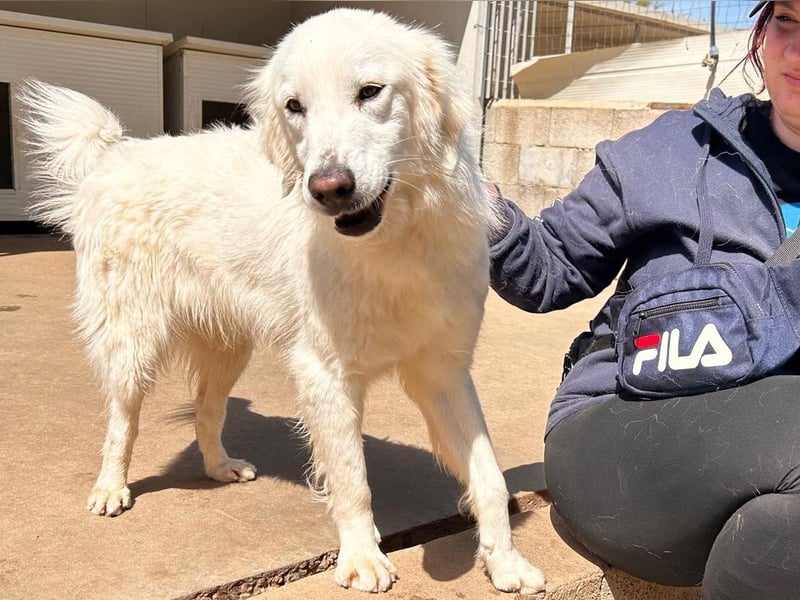 Romina - unser Sonnenschein sucht ein Zuhause