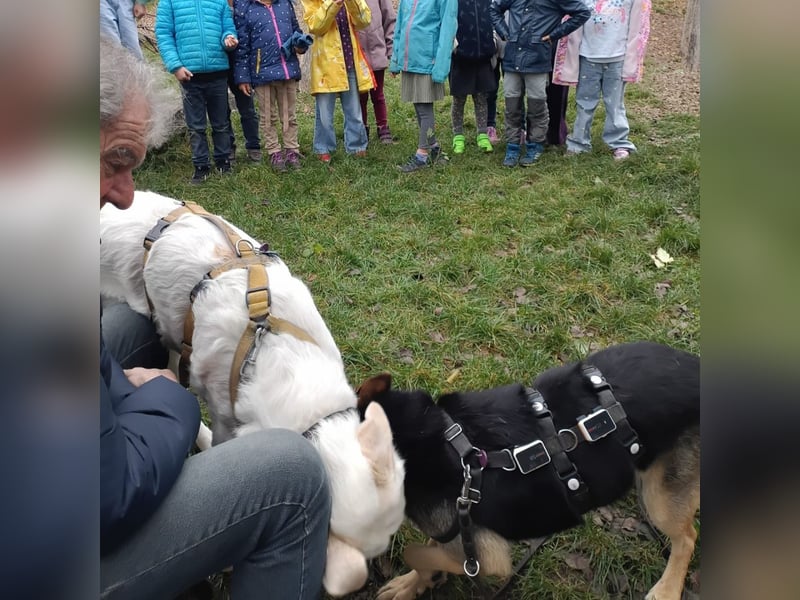 Cucciolo- auch das schaffen wir!