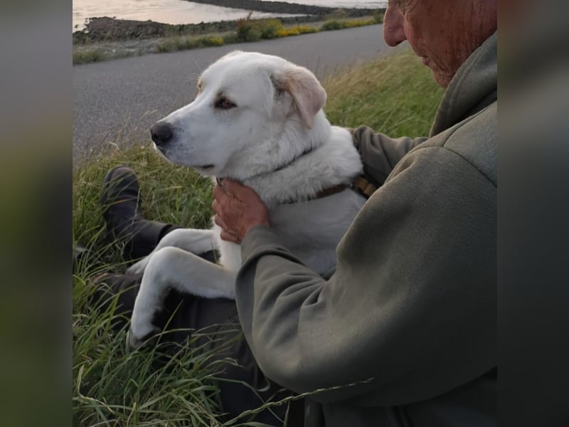 Cucciolo- auch das schaffen wir!