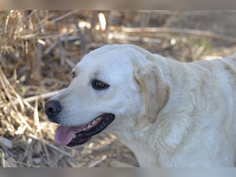 Camilla - die Große Sensible