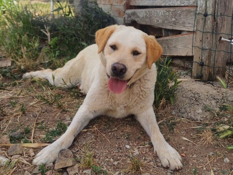 Camilla - die Große Sensible