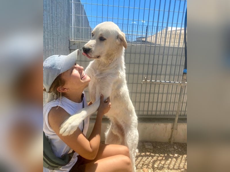 Cucciolo- auch das schaffen wir!