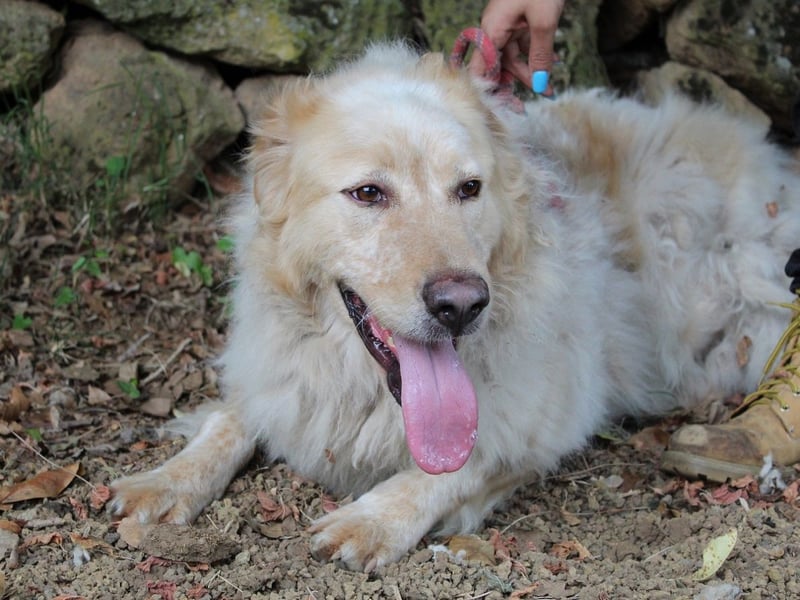 Paolo - Oh, huch, wow!!!