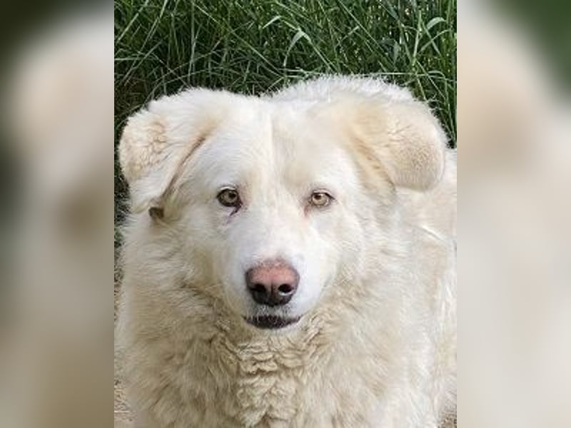 Sindbad - Zwischen Vorsicht und Vertrauen