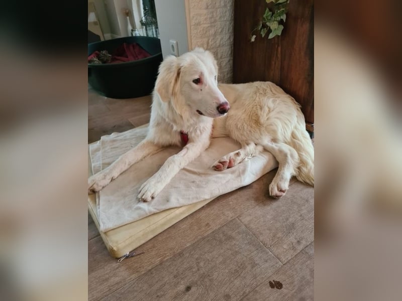 Stardust - Von der Erde zum Mond und zurück....