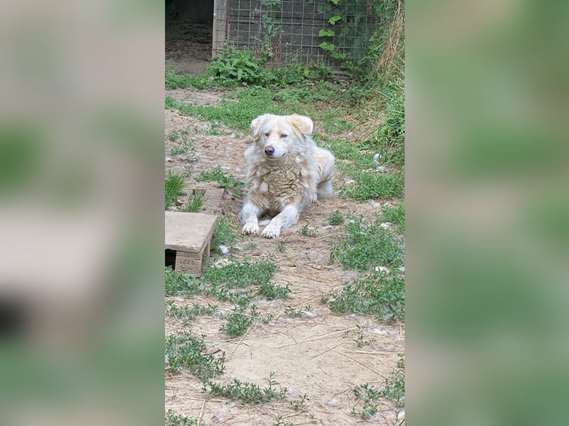 Sindbad - Zwischen Vorsicht und Vertrauen