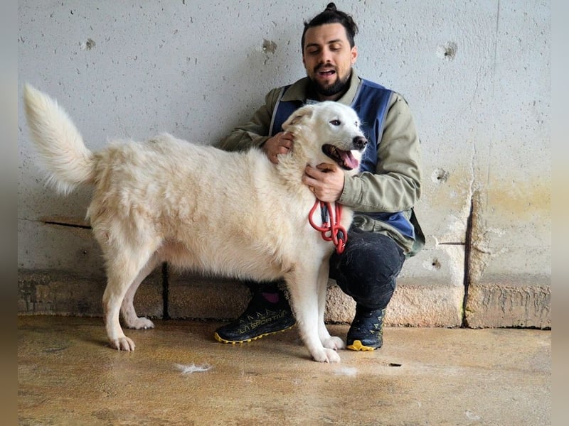 Sallustio - Der Sinn des Lebens