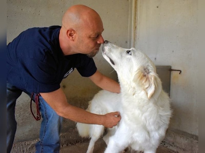 Hadrianus - weiß, es wird einmal ein Wunder gescheh'n