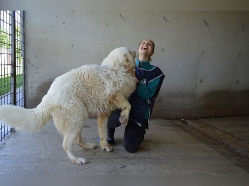 Leverett - Ich sehe was, was du (noch) nicht siehst!