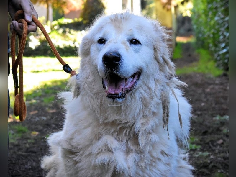 Apolonio - möchte für seine Menschen ein Fels in der Brandung sein