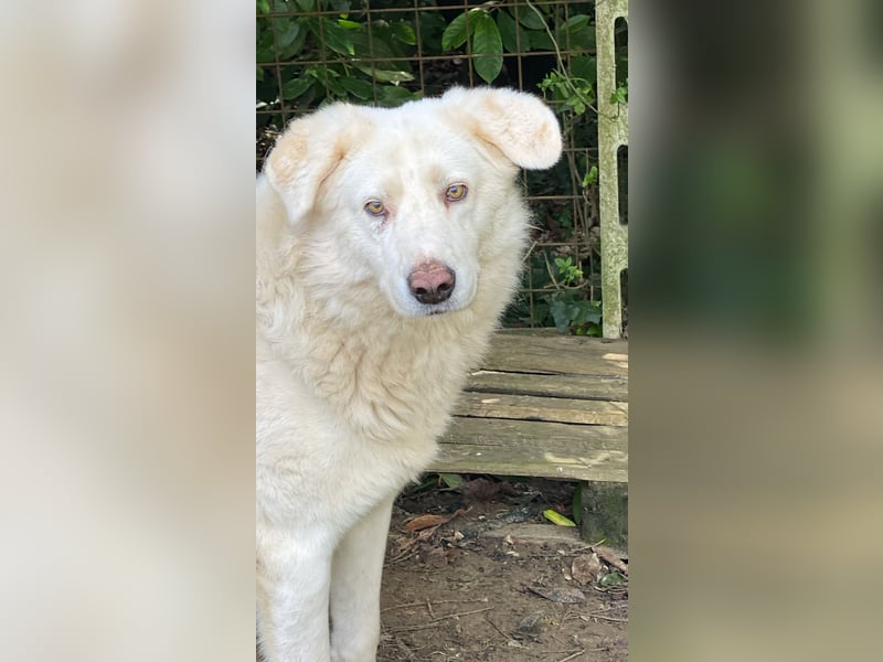 Sindbad - Zwischen Vorsicht und Vertrauen