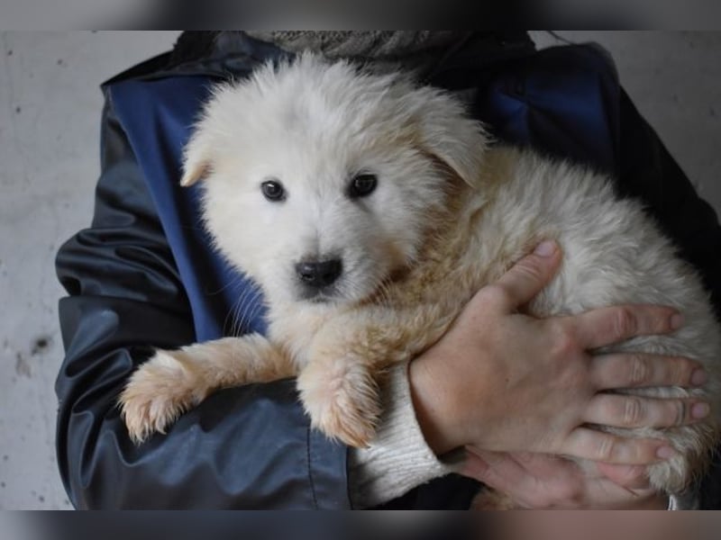 Clyro - Weiß jemand, was aufpassen eigentlich heißt ?