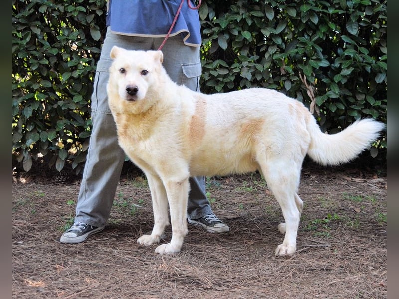 Zipper - Ein vergeudetes Leben
