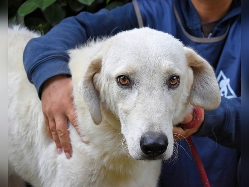 Damarius - niemals ist eine schrecklich lange Zeit