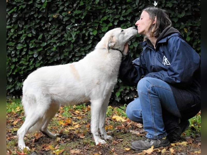 Yasmine - freundlicher Sonnenschein sucht sonniges Plätzchen