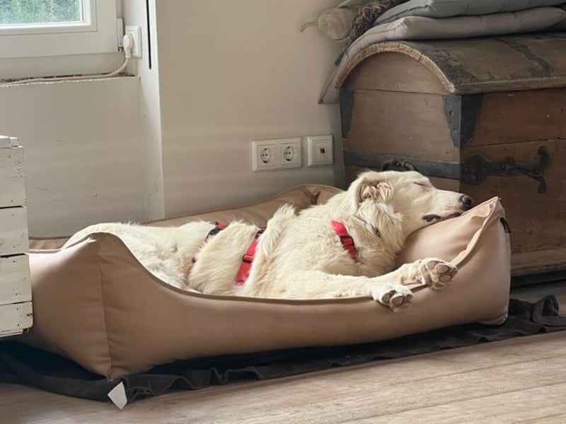 Stardust - Von der Erde zum Mond und zurück....