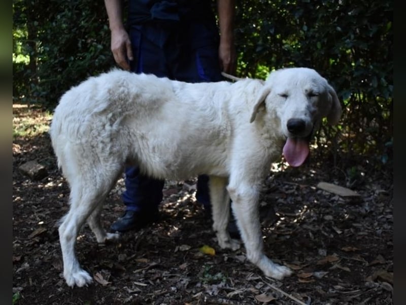 Dayton - niemals ist eine schrecklich lange Zeit
